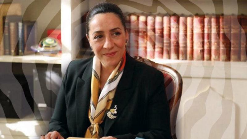 Yer Aldığı Yapımlarla İnsanları Kah Ağlatıp Kah Güldüren Başarılı Oyuncu Binnur Kaya’nın Dizi ve Filmleri