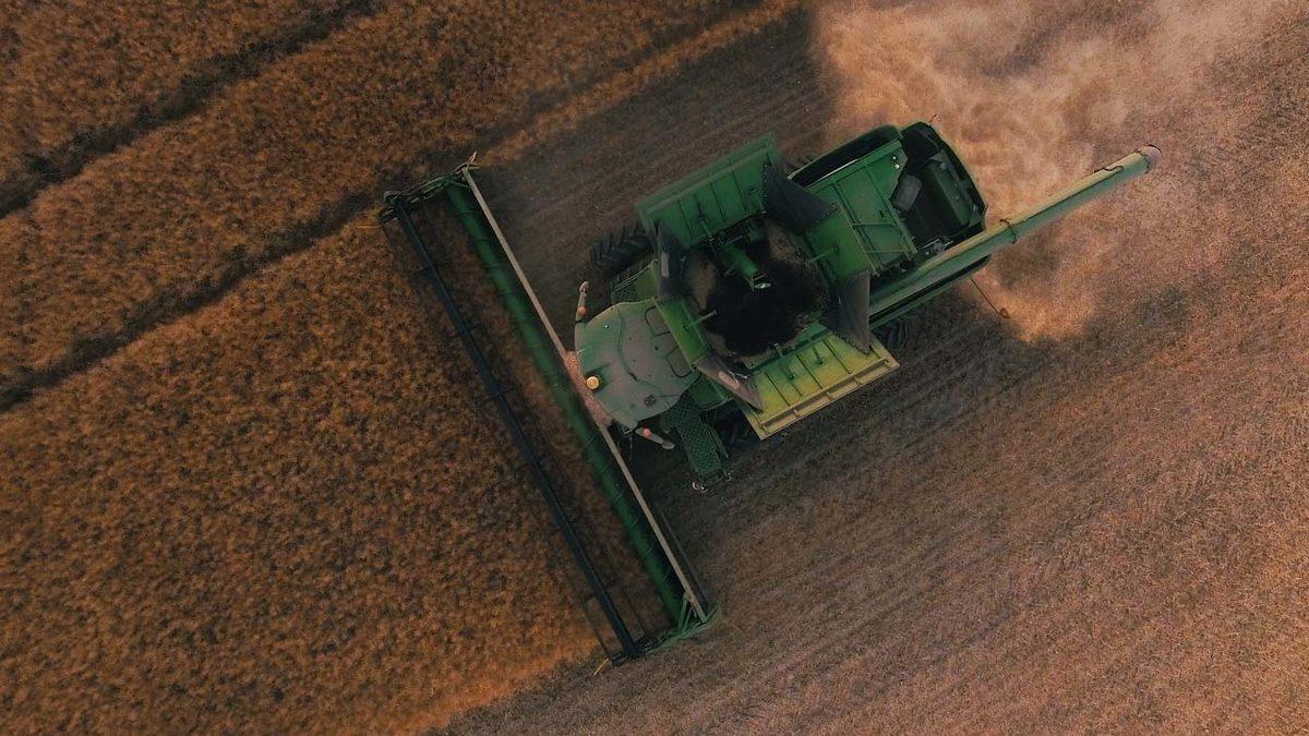 Konya Kadar Yüz Ölçümü Olan Hollanda, Nasıl Oluyor da Türkiye’nin Tamamından Daha Fazla Tarım Ürünü Yetiştirebiliyor?