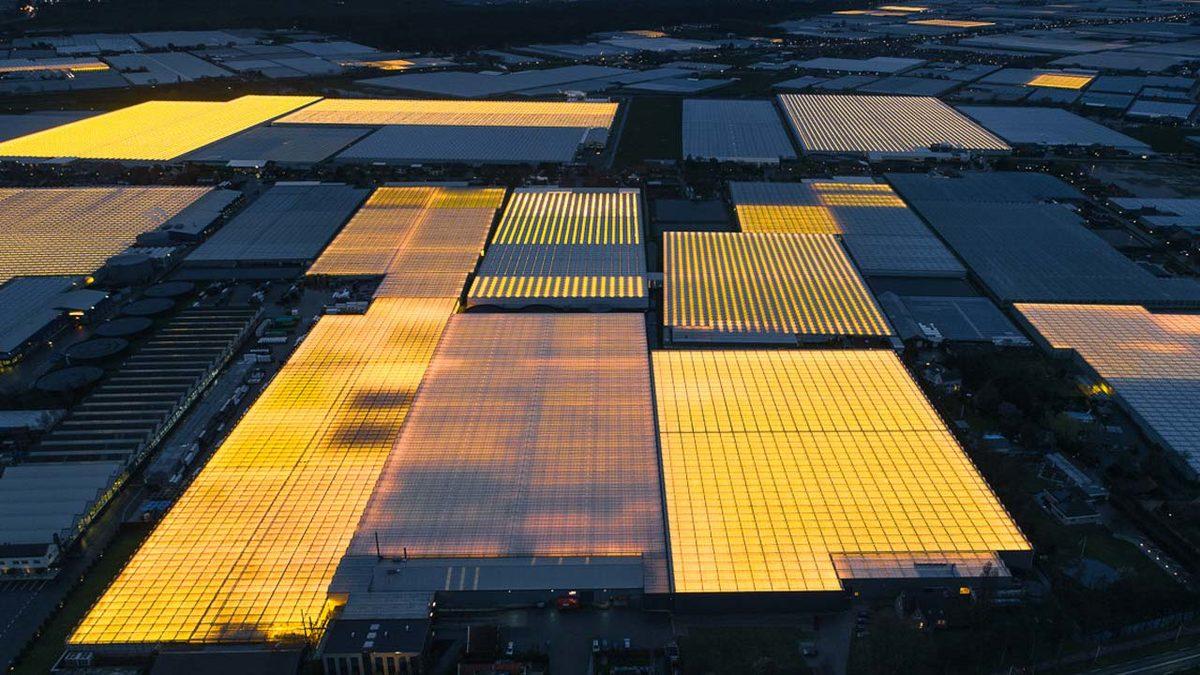 Konya Kadar Yüz Ölçümü Olan Hollanda, Nasıl Oluyor da Türkiye’nin Tamamından Daha Fazla Tarım Ürünü Yetiştirebiliyor?