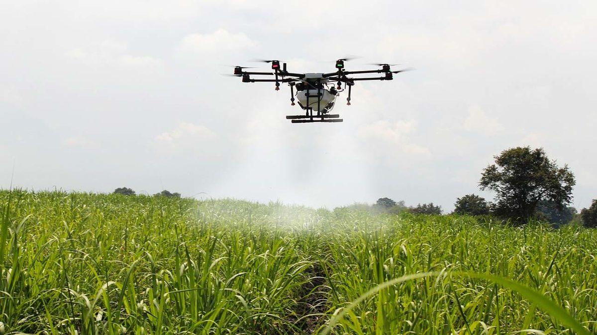 Konya Kadar Yüz Ölçümü Olan Hollanda, Nasıl Oluyor da Türkiye’nin Tamamından Daha Fazla Tarım Ürünü Yetiştirebiliyor?