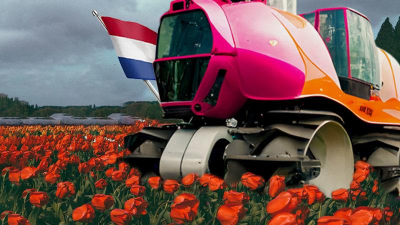 Konya Kadar Yüz Ölçümü Olan Hollanda, Nasıl Oluyor da Türkiye’nin Tamamından Daha Fazla Tarım Ürünü Yetiştirebiliyor?