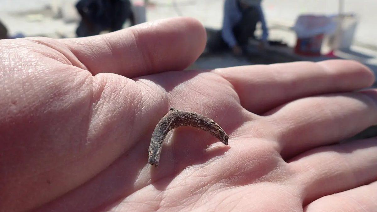 İki Elinle Siper Et: İnsanların 12 Bin 300 Yıl Önce Bile Tütün Kullandığı Ortaya Çıktı