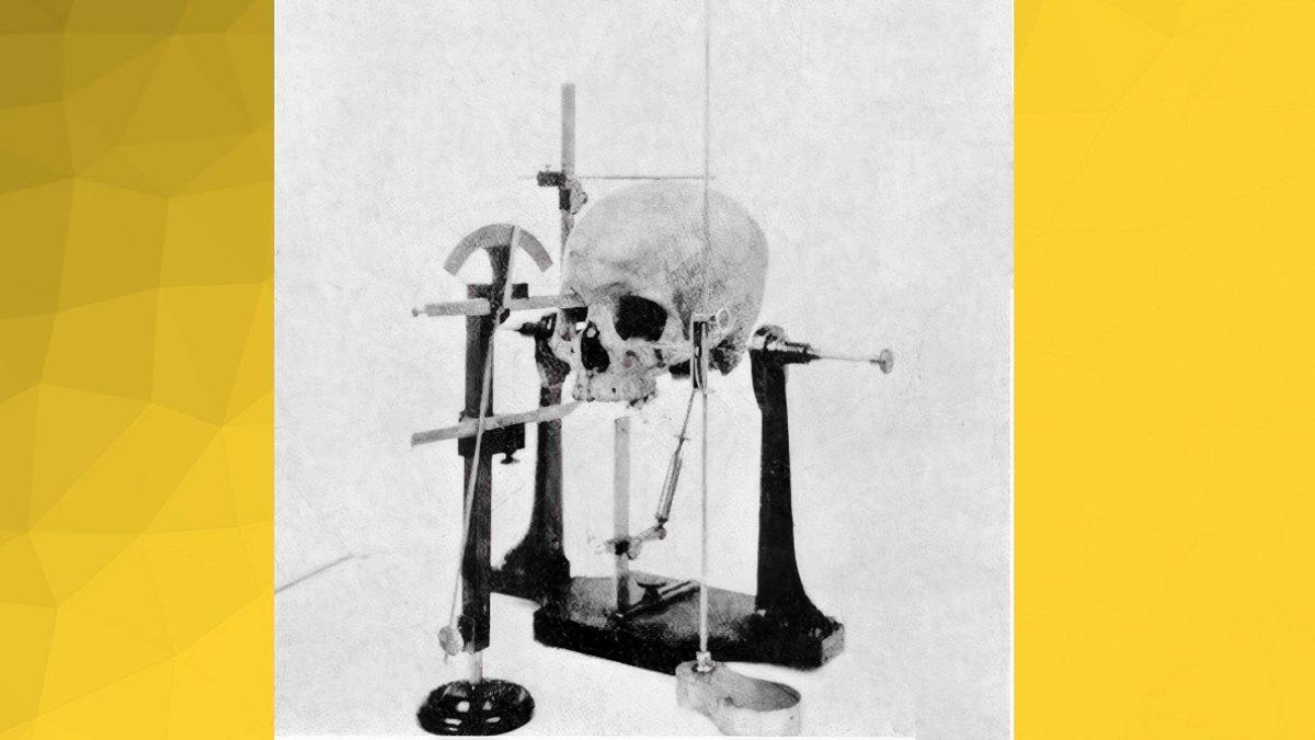 Kafası Daha Büyük Olan İnsanlar Gerçekten Daha mı Zeki Oluyor?