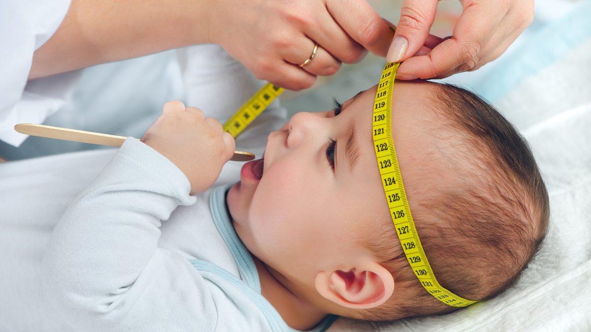 Kafası Daha Büyük Olan İnsanlar Gerçekten Daha mı Zeki Oluyor?