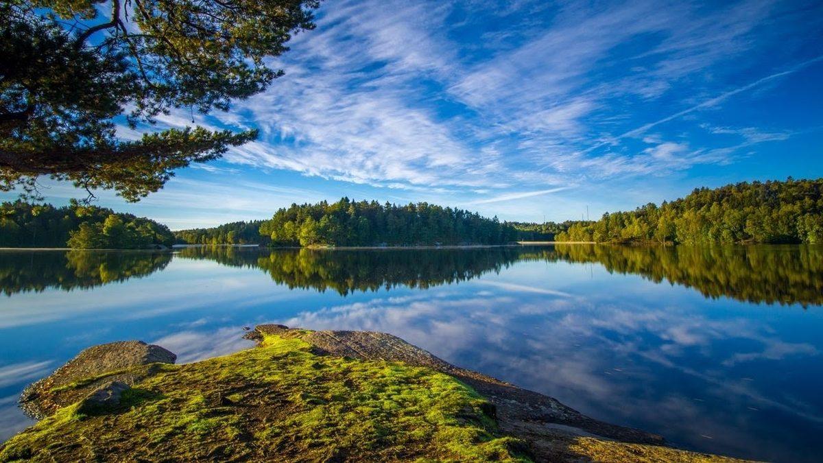 Yarısı Orman Yarısı Göllerden Oluşan İsveç’in Ne Kadar İlginç Bir Ülke Olduğunu Kanıtlayan 9 Bilgi