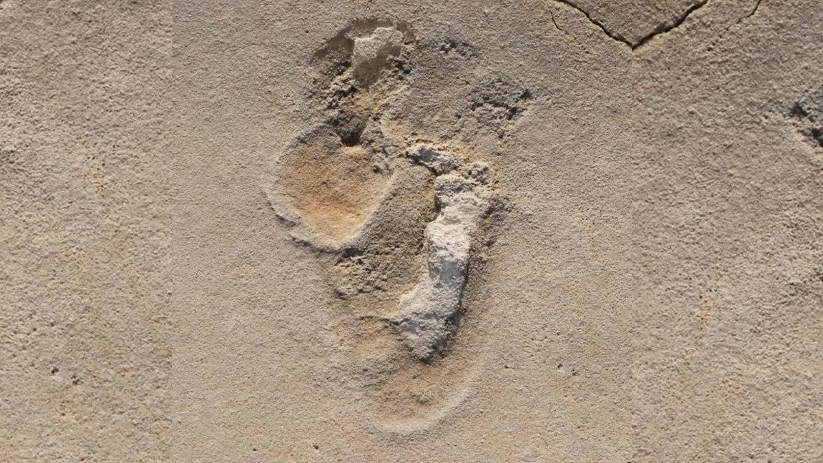 Bilinen En Eski İnsansı Ayak İzleri Keşfedildi: 6.5 Milyon Yıllık Oldukları Düşünülüyor