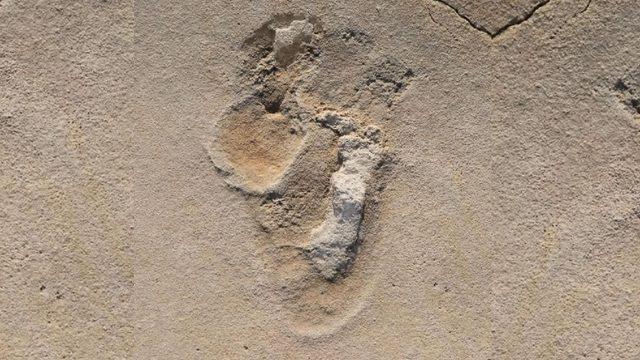 Bilinen En Eski İnsansı Ayak İzleri Keşfedildi: 6.5 Milyon Yıllık Oldukları Düşünülüyor