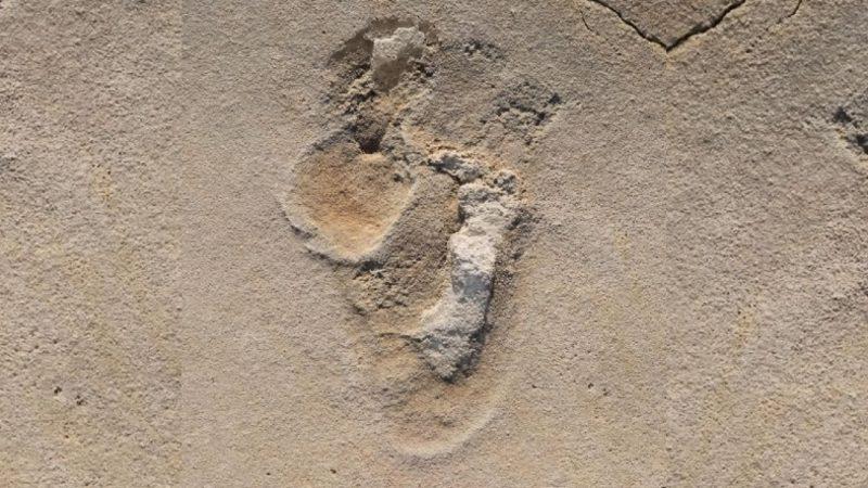 Bilinen En Eski İnsansı Ayak İzleri Keşfedildi: 6.5 Milyon Yıllık Oldukları Düşünülüyor