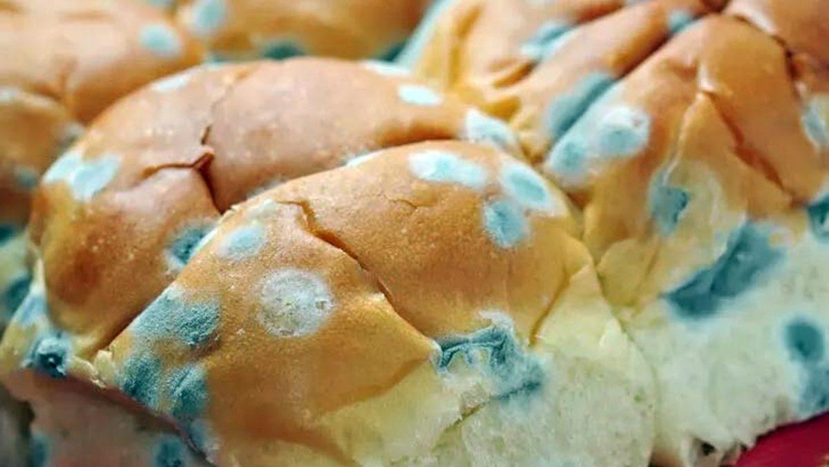 Küflü Kısmını Kesip Attığınız Ekmeğin Kalanını Yemek Ne Kadar Sağlıklı?