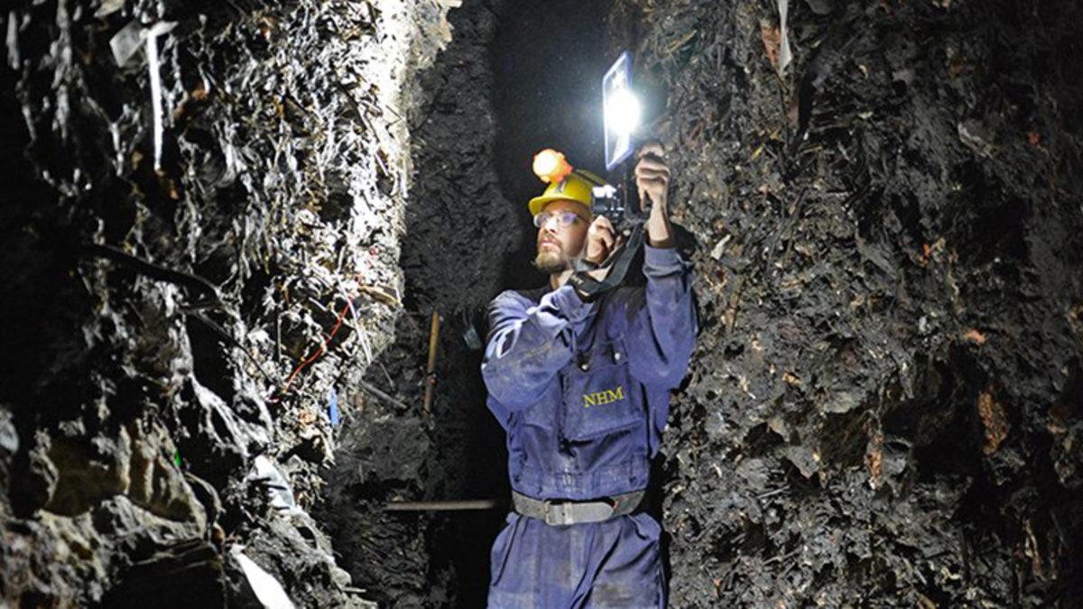 2.700 Yıllık İnsan Dışkısında Bira ve Peynir Bulundu