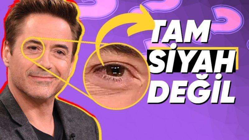 Aslında Kimse "Kömür Gözlü" Değil: Peki İnsanlar Çeşit Çeşit Göz Rengine Sahip Olabiliyorken Neden Siyah Gözlü Olamazlar?