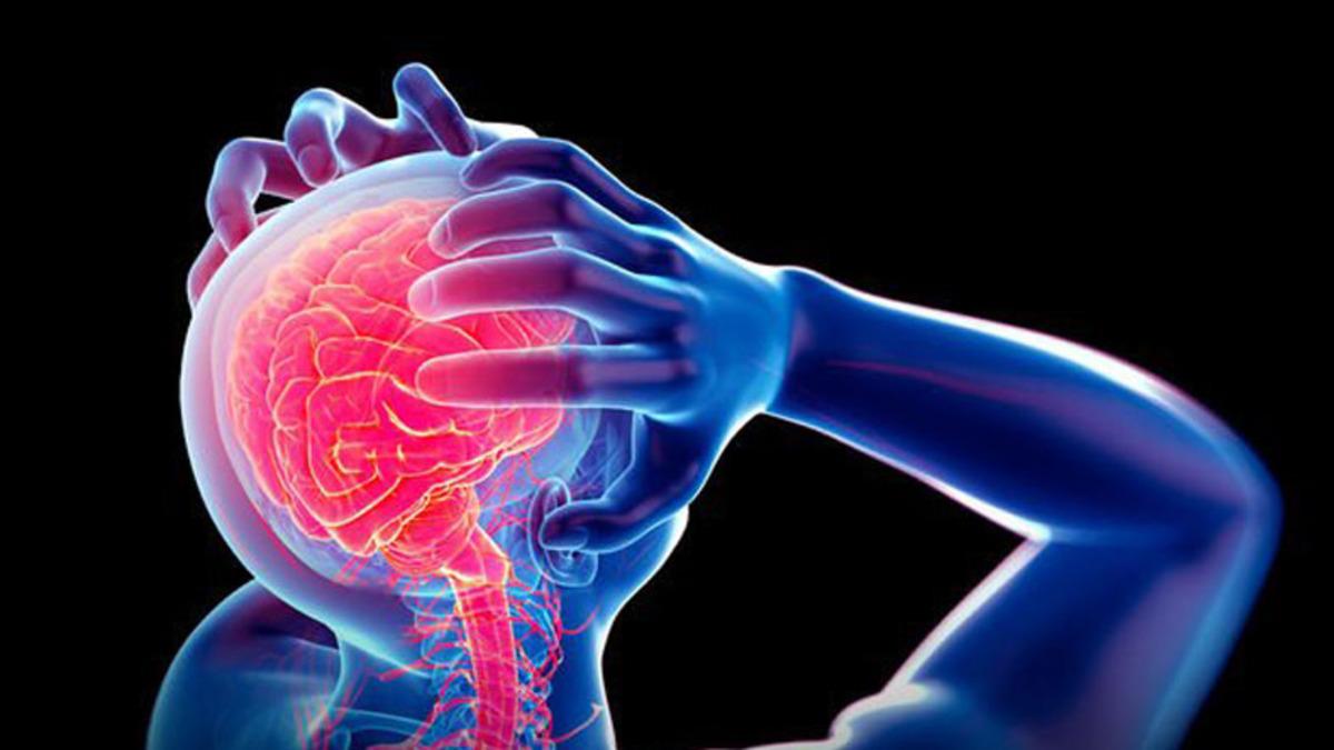 İstenmeyen Olayların Hafızadan Silinmesini Sağlayacak Bir Protein Keşfedildi