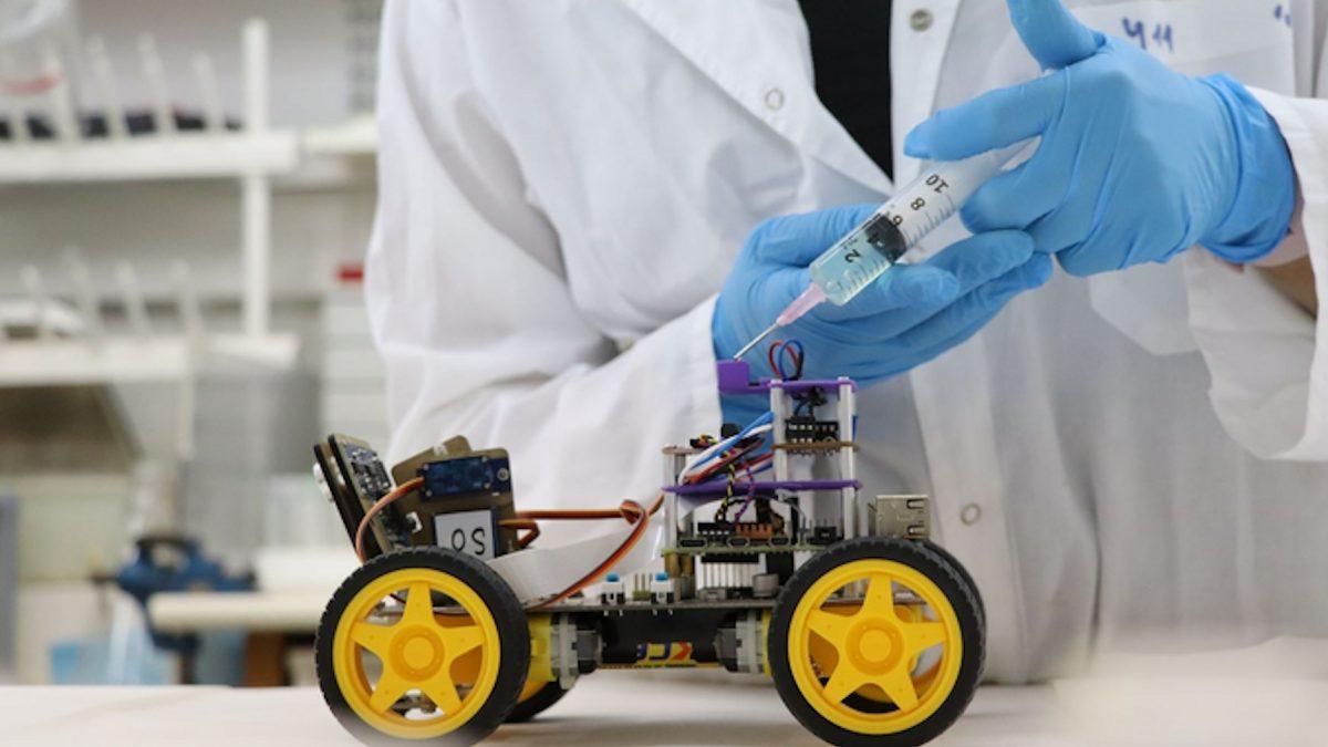 Çekirgeler ve Yapay Zekânın Yardımıyla, İnsanlardan Daha İyi Koku Alabilen Robot Geliştirildi