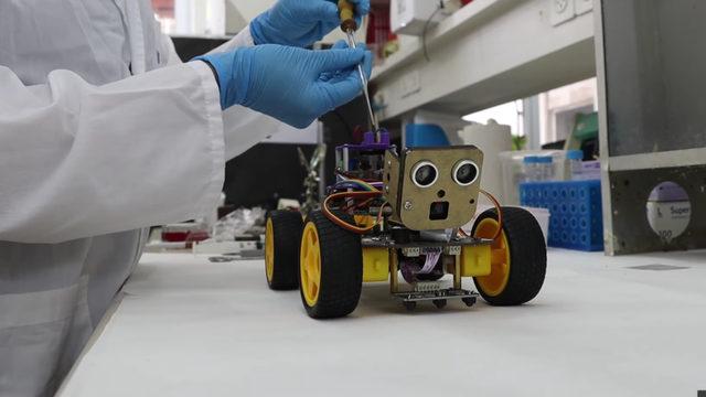 Çekirgeler ve Yapay Zekânın Yardımıyla, İnsanlardan Daha İyi Koku Alabilen Robot Geliştirildi