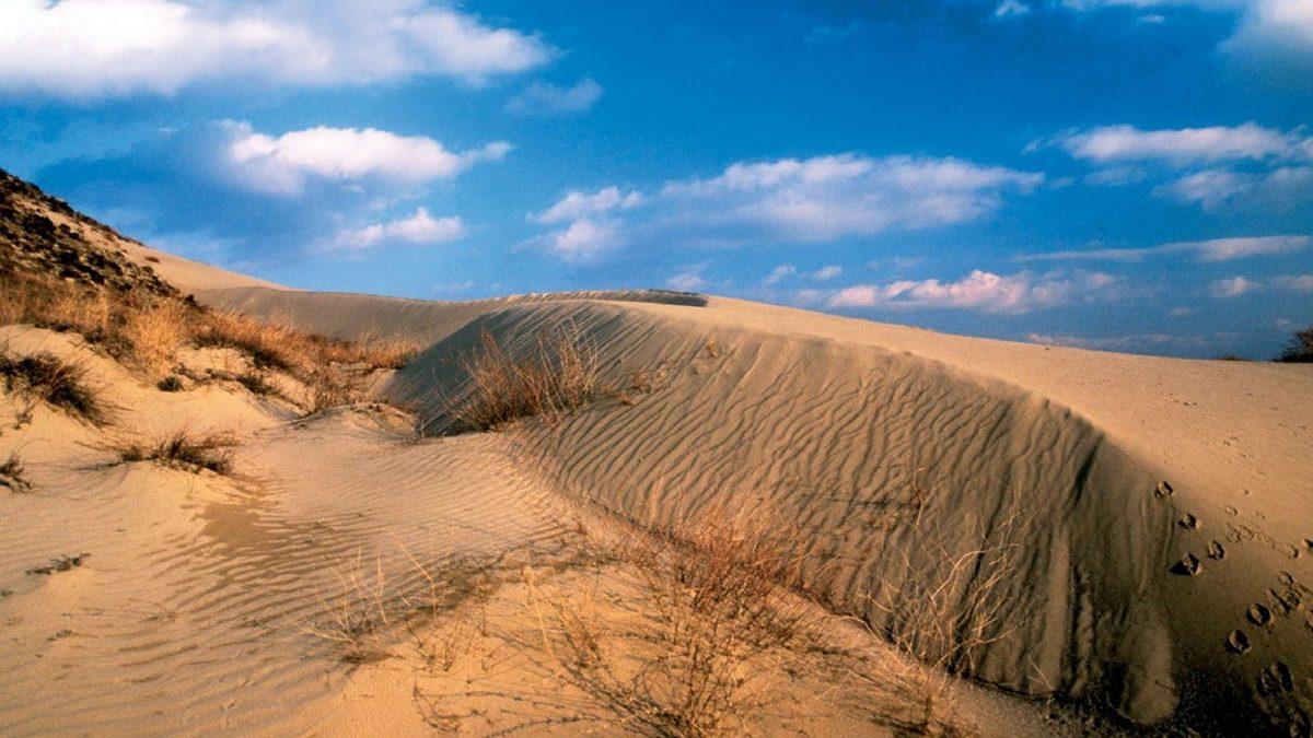 Bu Çöl, Arabistan’da Değil Türkiye’de: Sahra’dan Bir Parçayı Andıran Bu Kumullar Nerede ve Nasıl Oluştu?