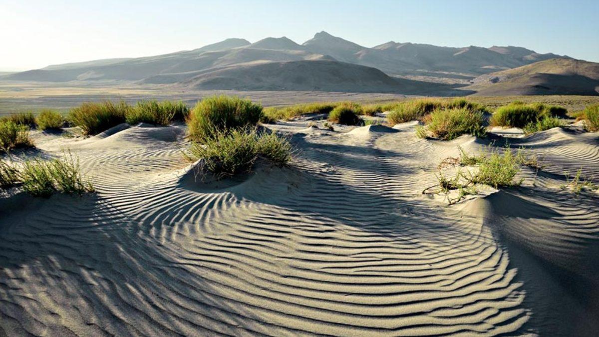 Bu Çöl, Arabistan’da Değil Türkiye’de: Sahra’dan Bir Parçayı Andıran Bu Kumullar Nerede ve Nasıl Oluştu?