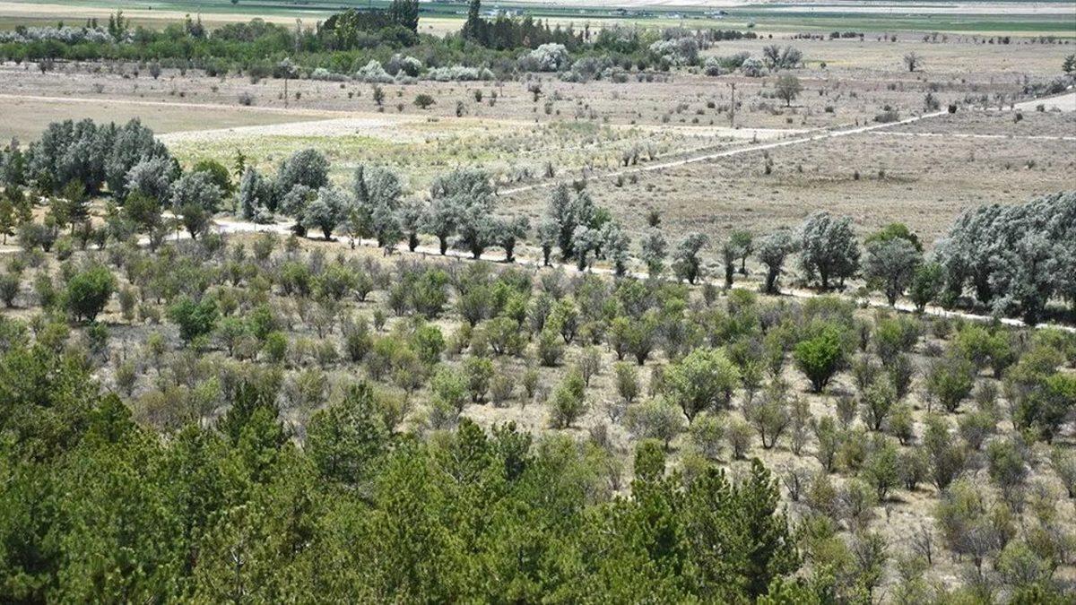 Bu Çöl, Arabistan’da Değil Türkiye’de: Sahra’dan Bir Parçayı Andıran Bu Kumullar Nerede ve Nasıl Oluştu?