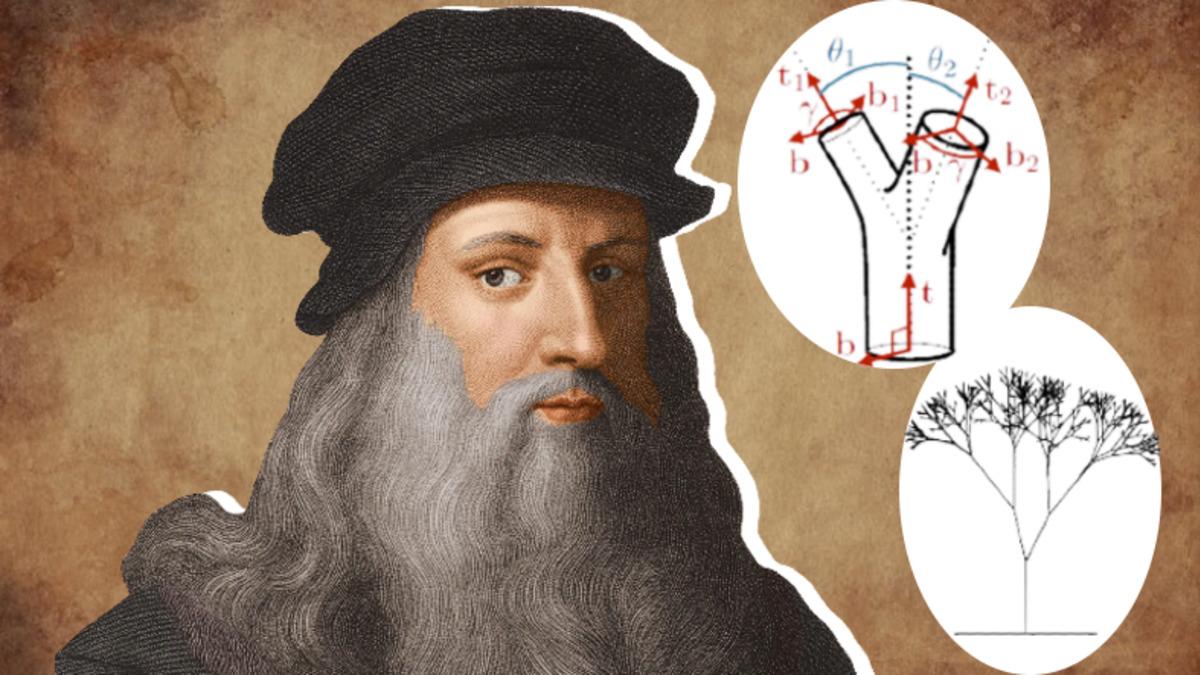 Büyük Deha Leonardo da Vinci’nin Ağaçlar Üzerine Yaptığı Çok İlginç Gözlem