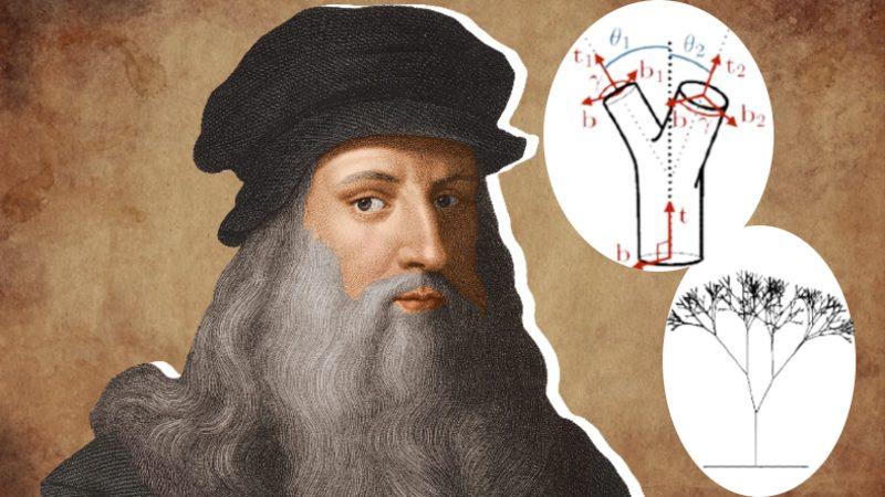 Büyük Deha Leonardo da Vinci’nin Ağaçlar Üzerine Yaptığı Çok İlginç Gözlem