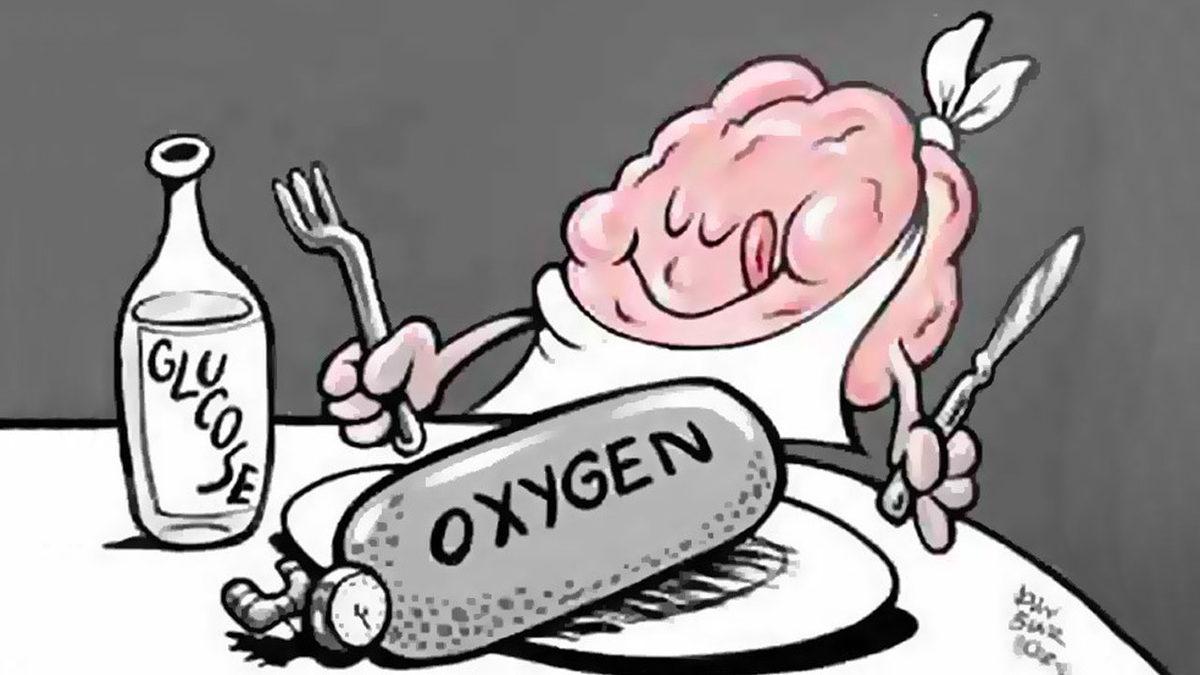 Bilim İnsanları Oksijensiz Kalan Beyin Hücrelerini Hayata Döndürebileceklerini Keşfetti