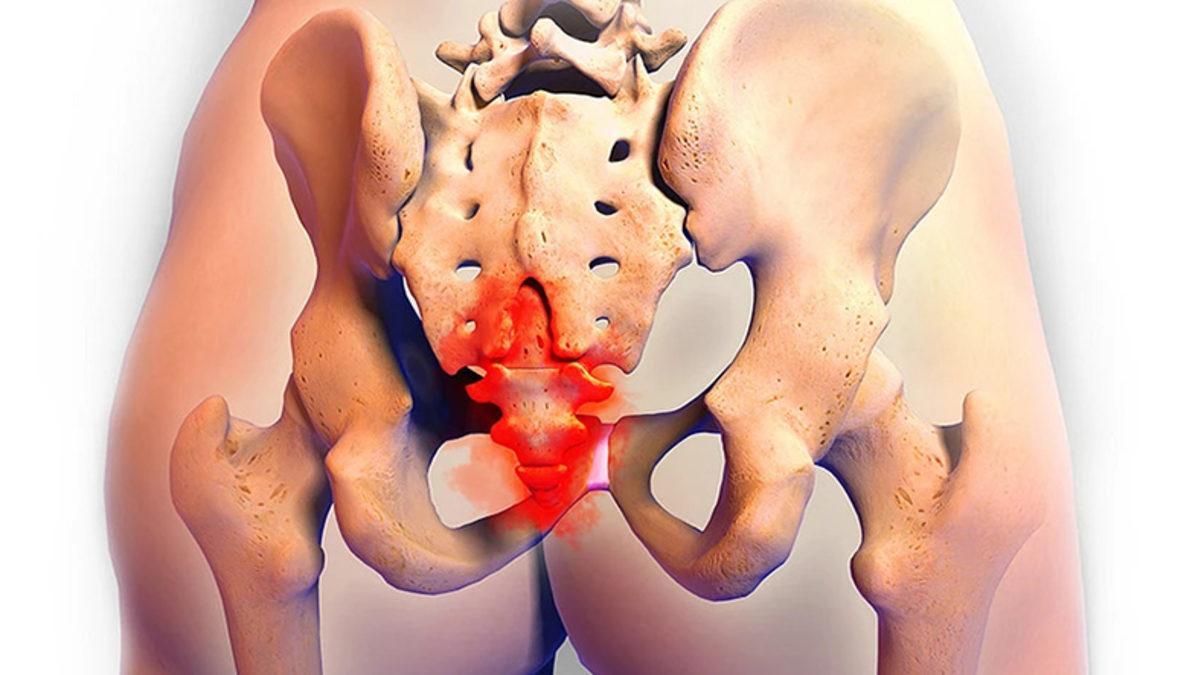 İnsanların Kuyruğu Olmamasına Rağmen Neden ’Kuyruk Sokumu’ Vardır?