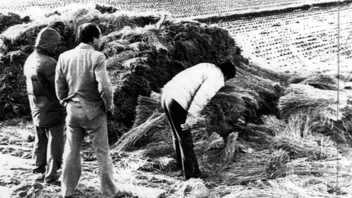 Kadınların Yıllarca Dışarıya Çıkamamasına Neden Olan Seri Katilin Kan Donduran Hikayesi [+18]