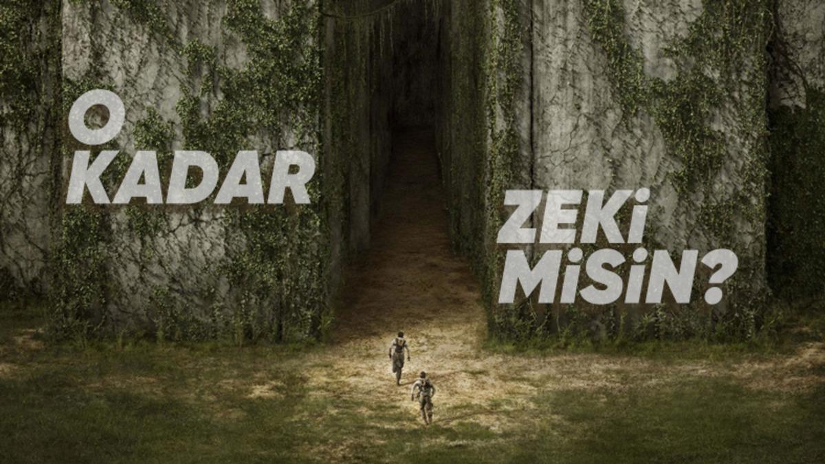 Ortasına Bırakıldığınız Büyük ve Karmaşık Bir Labirentten Nasıl Çıkıp Kurtulabilirsiniz?