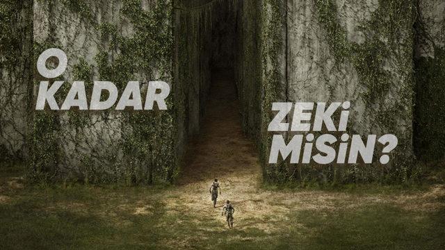 Ortasına Bırakıldığınız Büyük ve Karmaşık Bir Labirentten Nasıl Çıkıp Kurtulabilirsiniz?