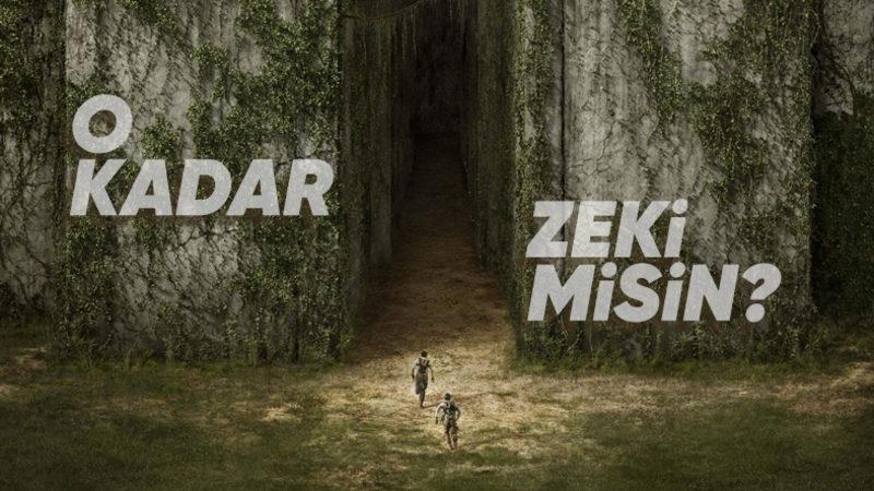 Ortasına Bırakıldığınız Büyük ve Karmaşık Bir Labirentten Nasıl Çıkıp Kurtulabilirsiniz?