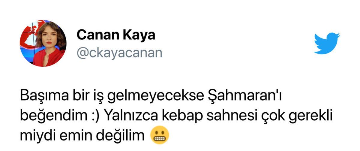 Netflix Dizisi Şahmaran’a Sosyal Medyadan Gelen Tepkiler: Adana’da Geçen Twilight mı Olur?