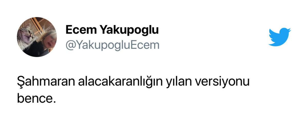 Netflix Dizisi Şahmaran’a Sosyal Medyadan Gelen Tepkiler: Adana’da Geçen Twilight mı Olur?