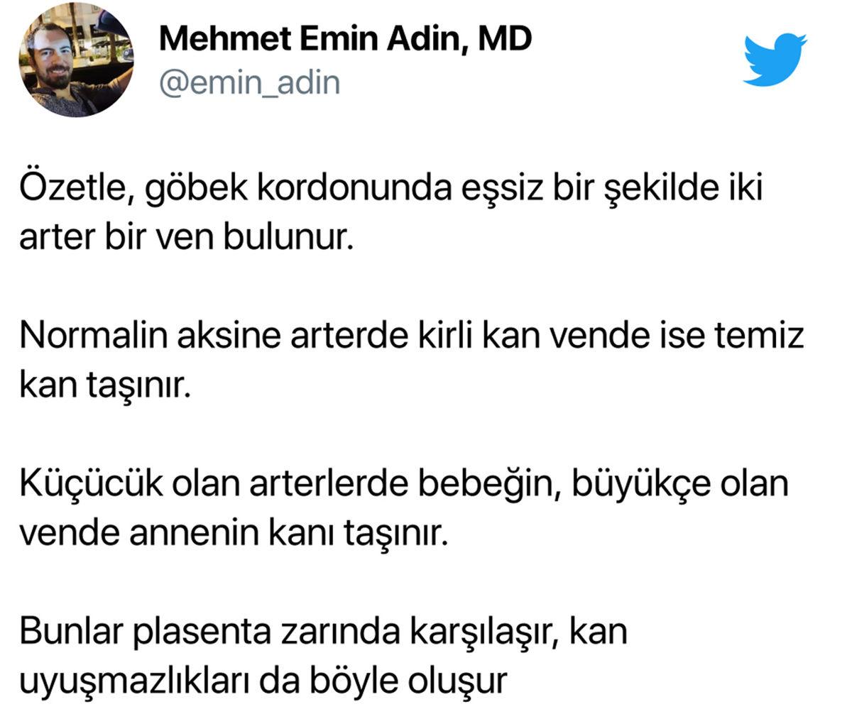 Bi’ Kedi Gördüm Sanki: Hamile Kadınların Ultrason Görüntüsündeki Bu ’Pati’ İzi Aslında Ne?