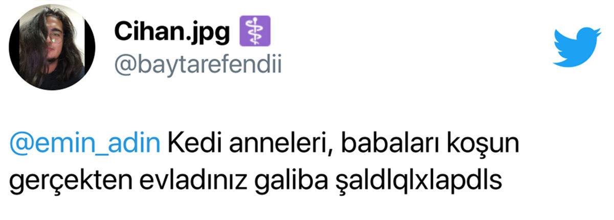 Bi’ Kedi Gördüm Sanki: Hamile Kadınların Ultrason Görüntüsündeki Bu ’Pati’ İzi Aslında Ne?