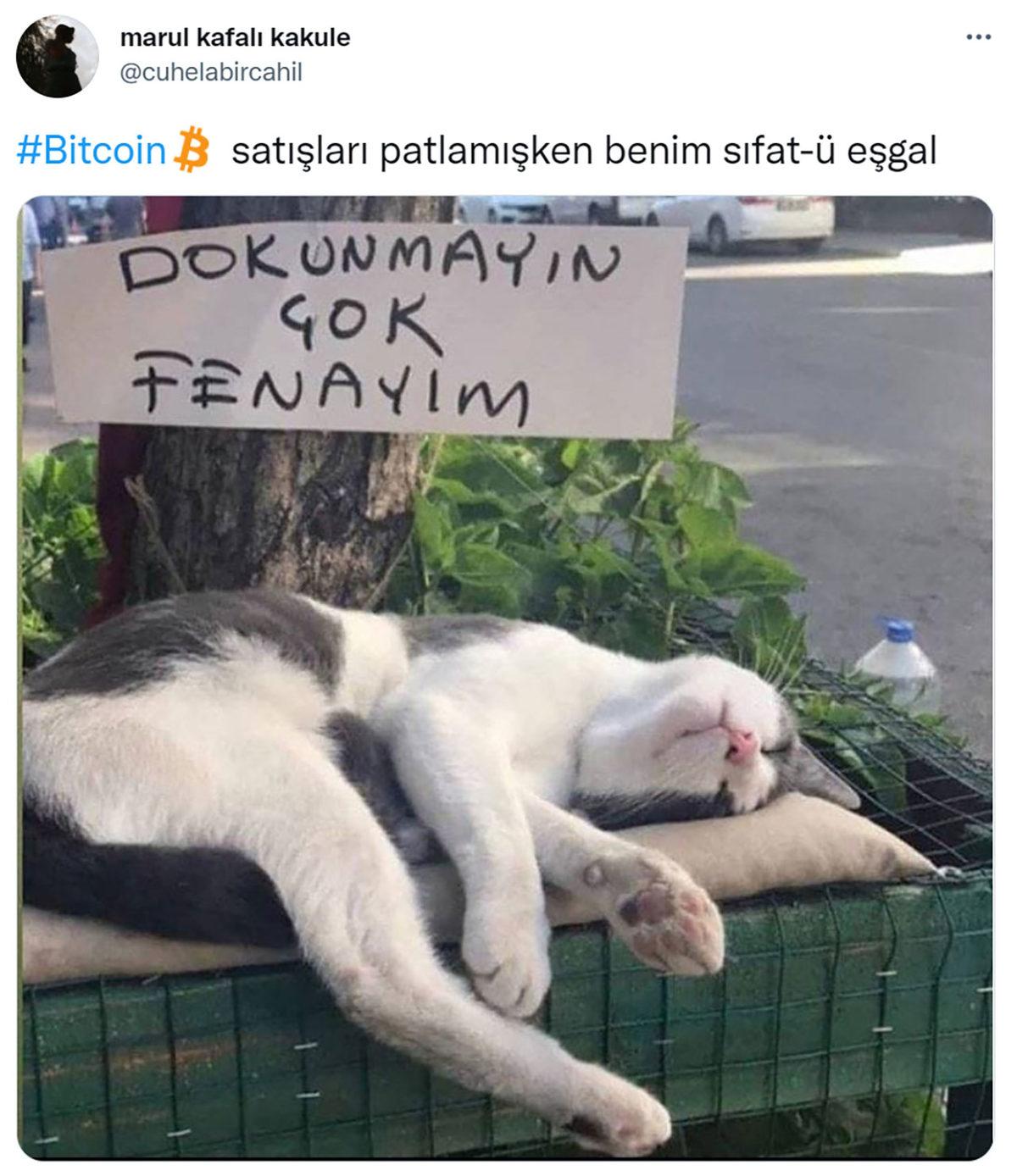 Bazıları Mutlu, Bazıları Pişman: Bitcoin’in Yeni Rekor Kırması, Sosyal Medyanın Ana Gündemi Oldu