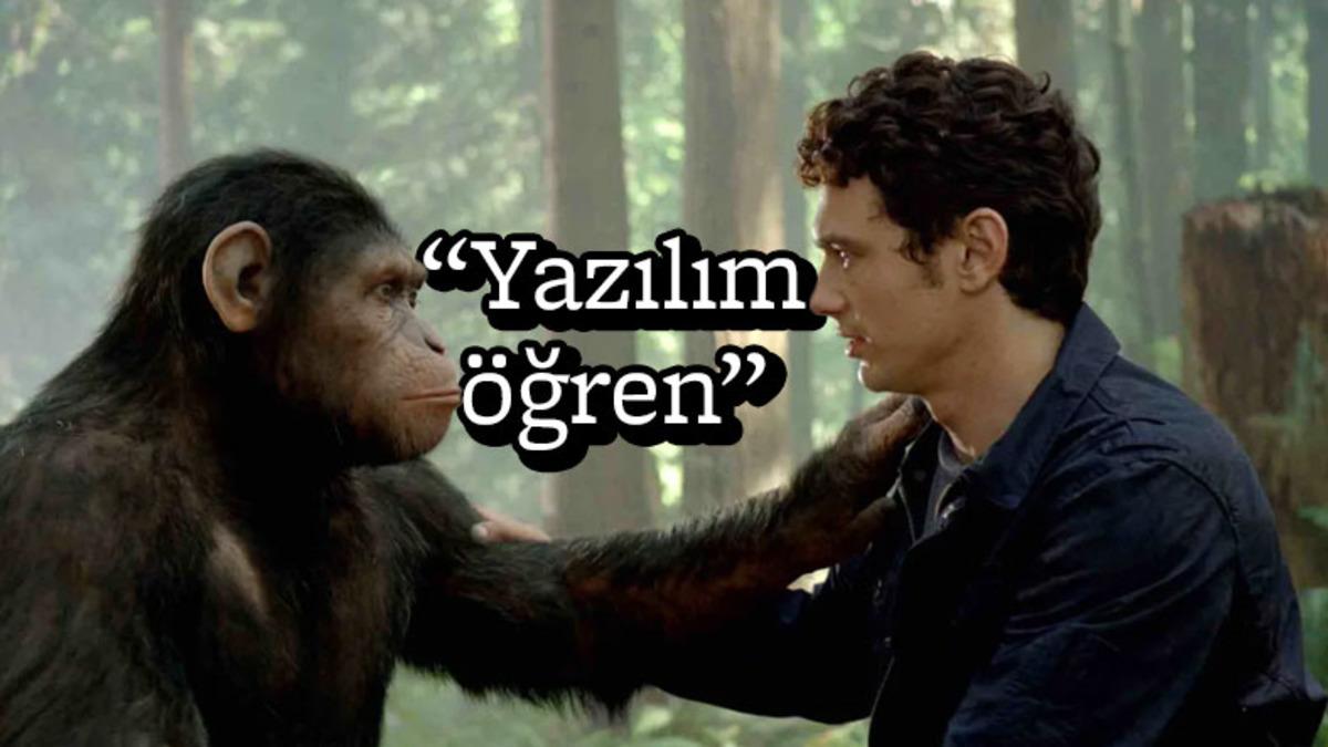 Türkiye’de En Çok ’Yükselen’ Meslekler Açıklandı (Yazılım Şart)