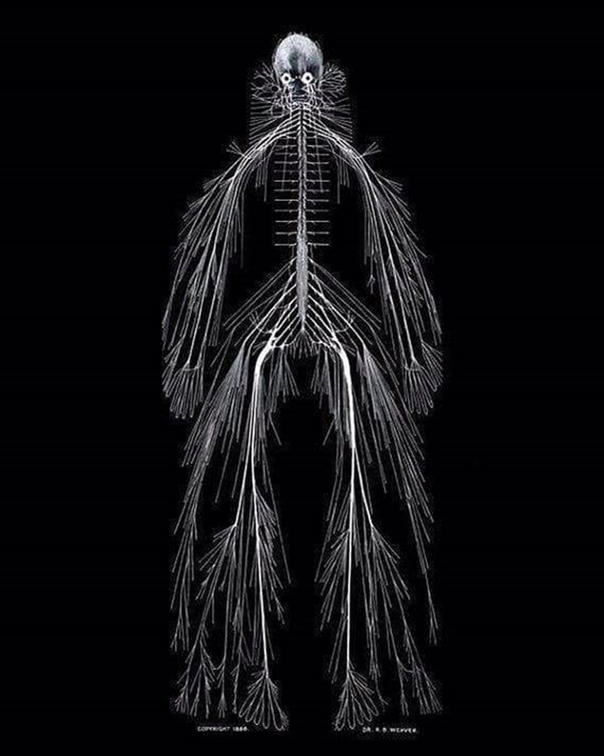 Nabzınız Yükselecek: İnternette Kolay Kolay Karşınıza Çıkmayacak 25 Sıra Dışı Görüntü