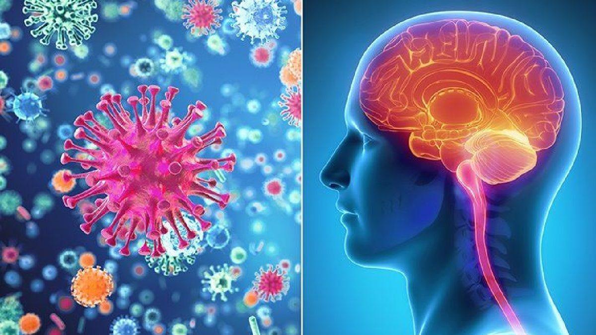 Grip Gibi Yaygın Enfeksiyonların Beyin Hastalıkları Riskini Artırabileceği Ortaya Çıktı