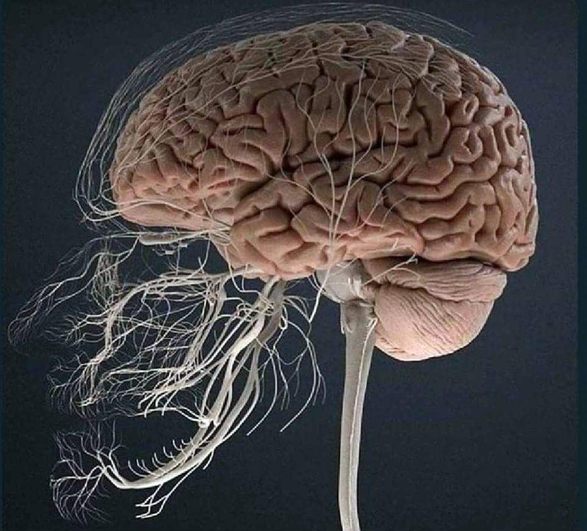 Nabzınız Yükselecek: İnternette Kolay Kolay Karşınıza Çıkmayacak 25 Sıra Dışı Görüntü