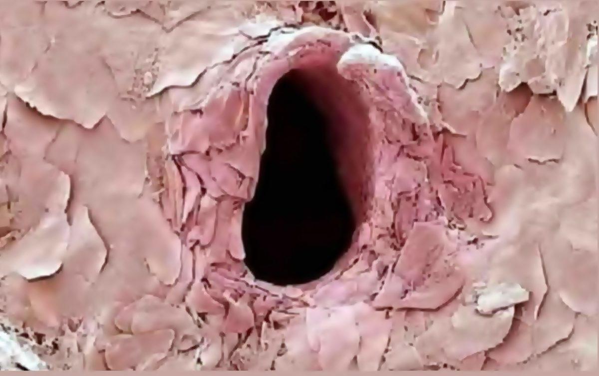 Nabzınız Yükselecek: İnternette Kolay Kolay Karşınıza Çıkmayacak 25 Sıra Dışı Görüntü