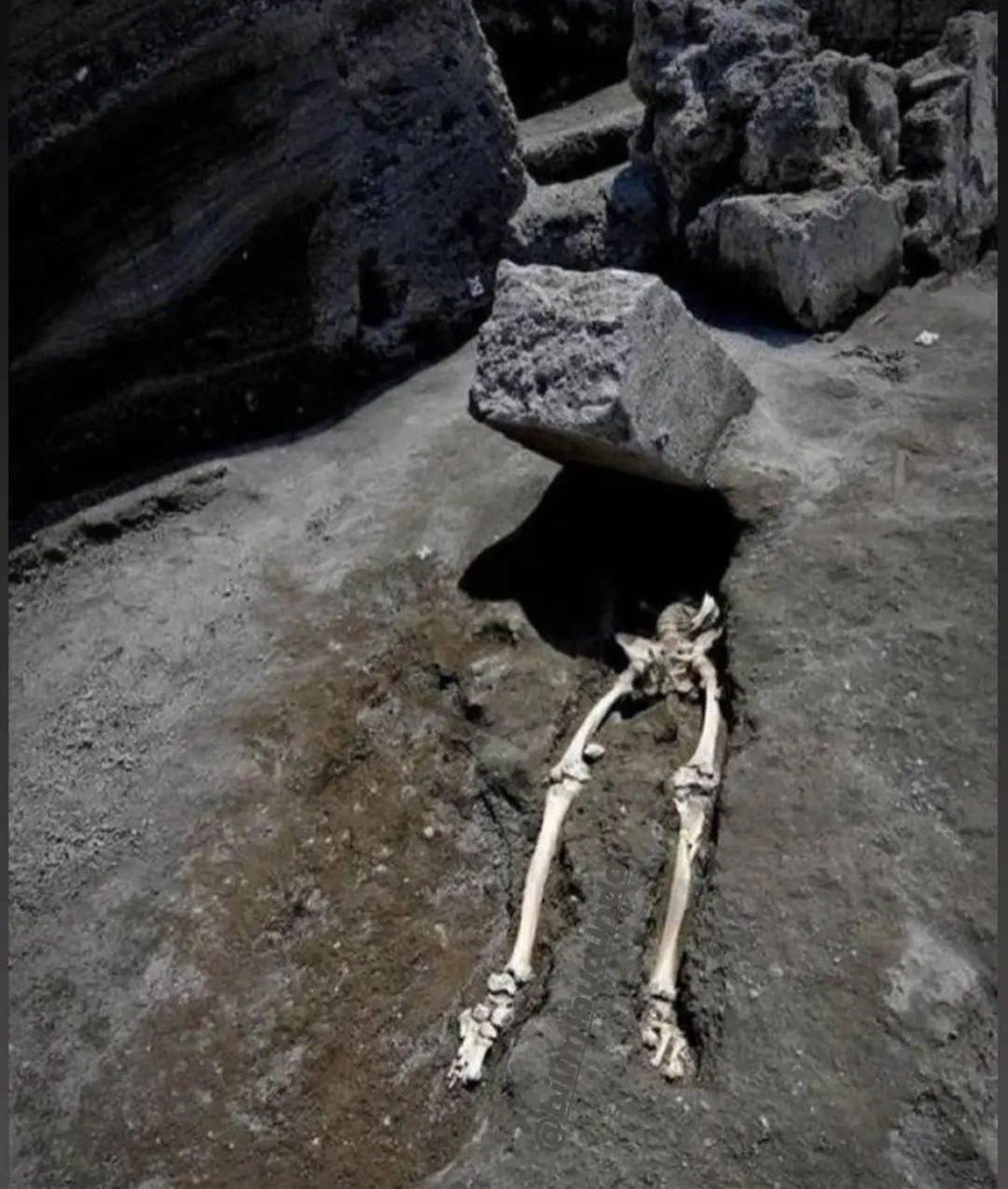 Nabzınız Yükselecek: İnternette Kolay Kolay Karşınıza Çıkmayacak 25 Sıra Dışı Görüntü