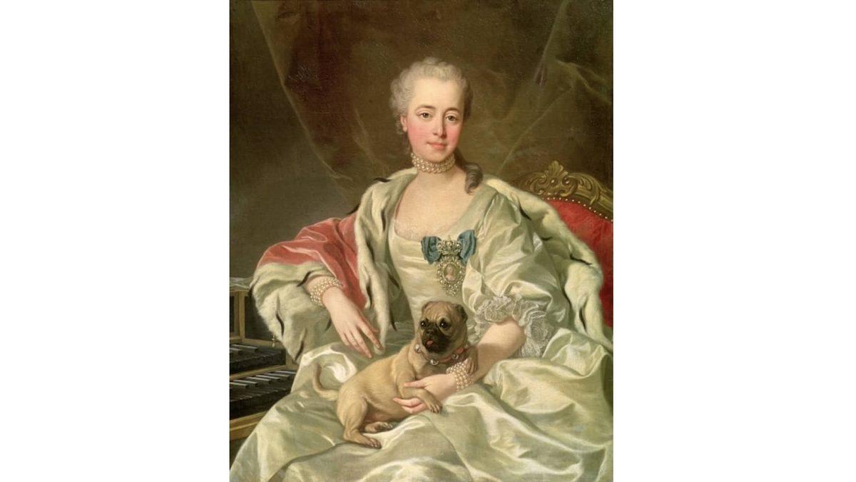 Zamanında Napolyon’u Bile Isırmış: Pug Köpek Cinsi Hakkında İlginç Bilgiler