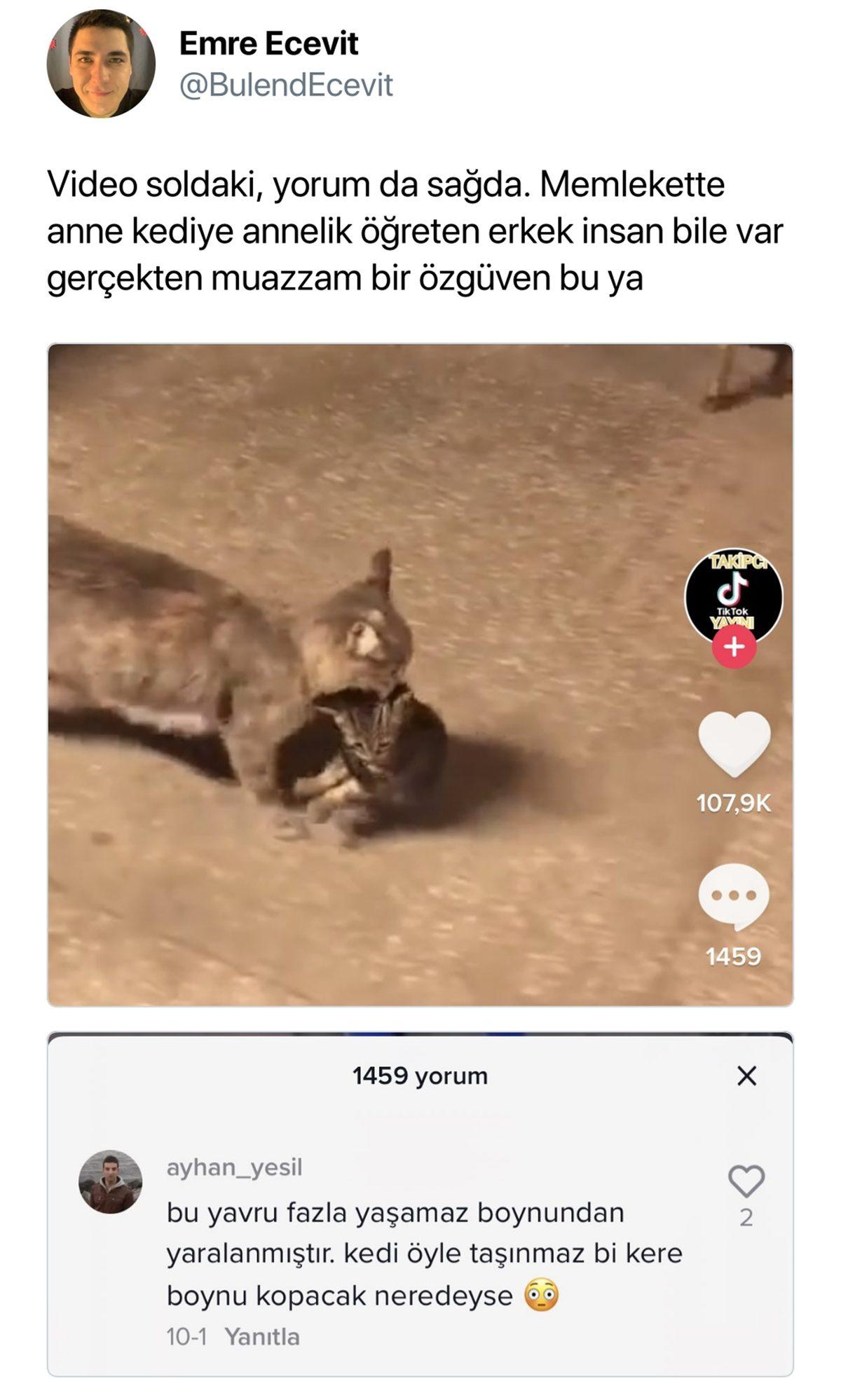 Yoğun Gündemden Sıkılanlar Buraya: Haftanın Stresini Atmanızı Sağlayacak Birbirinden Komik 27 Tweet