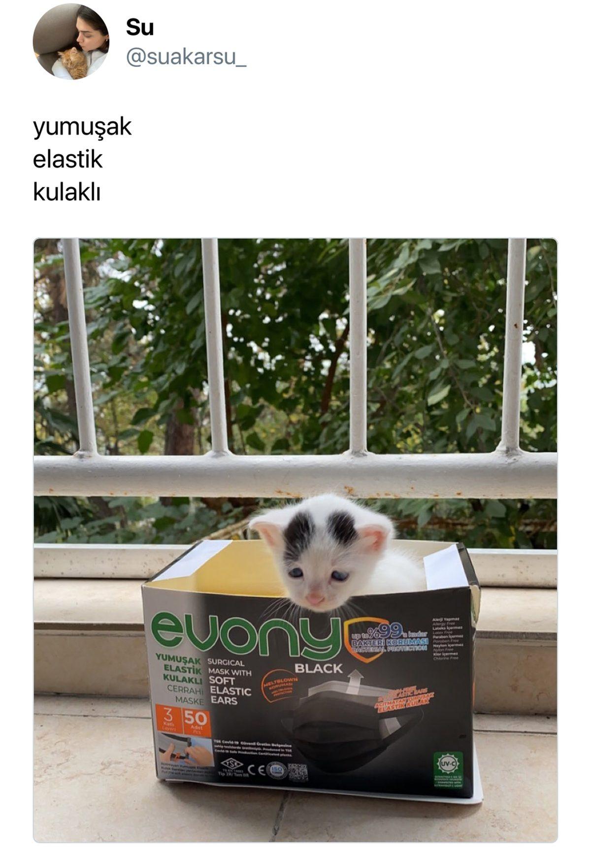 Yoğun Gündemden Sıkılanlar Buraya: Haftanın Stresini Atmanızı Sağlayacak Birbirinden Komik 27 Tweet