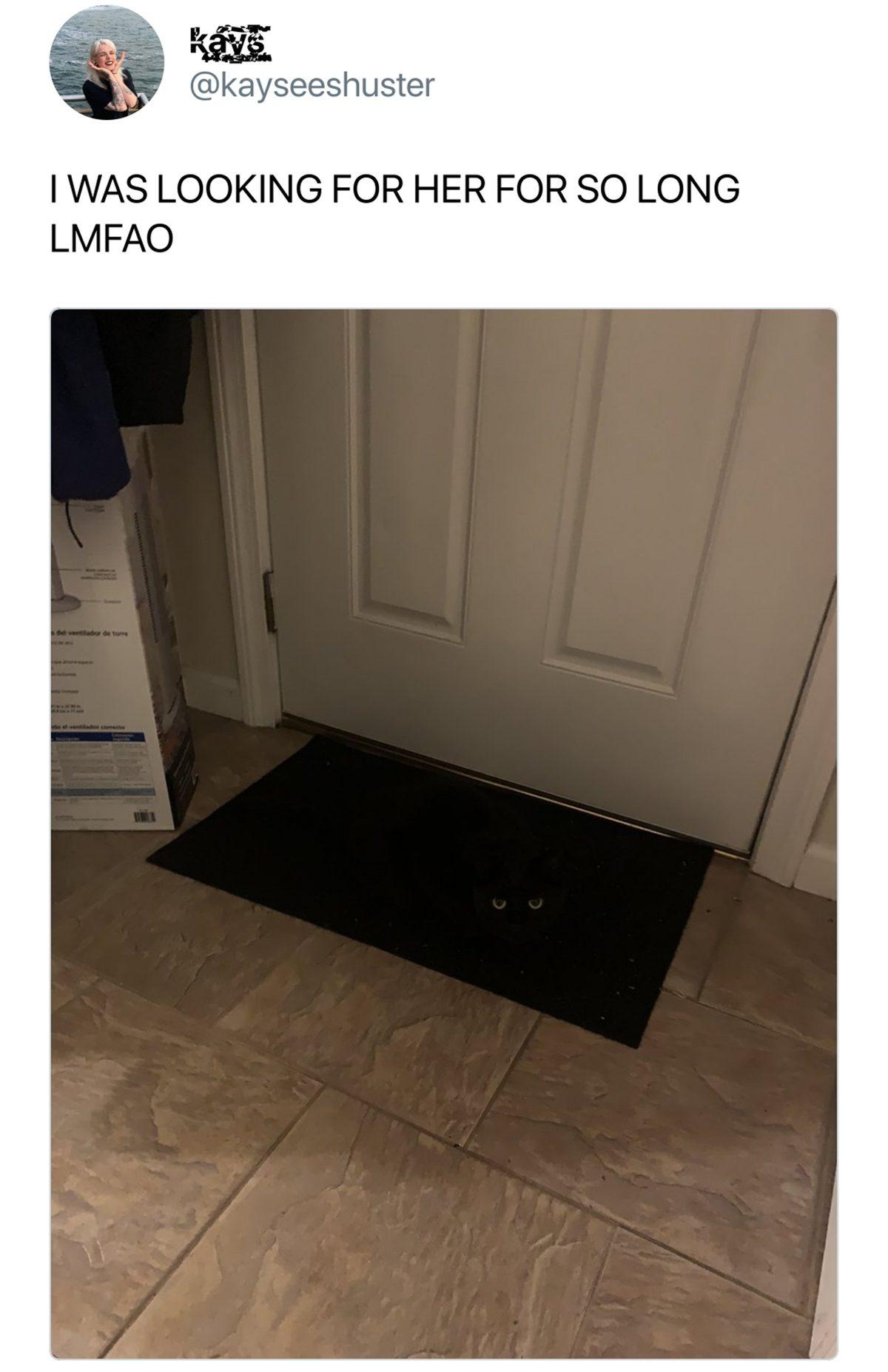 Yoğun Gündemden Sıkılanlar Buraya: Haftanın Stresini Atmanızı Sağlayacak Birbirinden Komik 27 Tweet