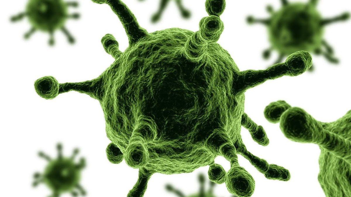 Bugün Bizi Hasta Etmesine Rağmen Gelecekte Hayatımızı Kurtarması Planlanan Virüslerin Okuyunca Ağzınızı Açık Bırakacak Özellikleri