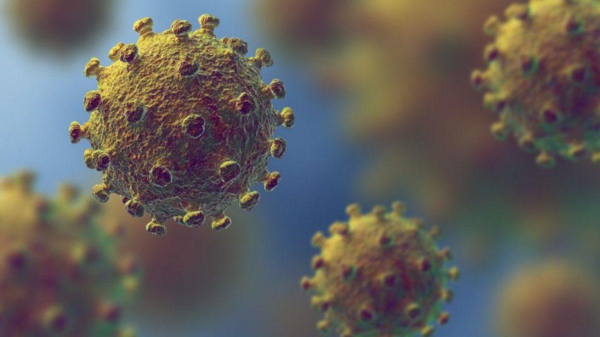 Bugün Bizi Hasta Etmesine Rağmen Gelecekte Hayatımızı Kurtarması Planlanan Virüslerin Okuyunca Ağzınızı Açık Bırakacak Özellikleri