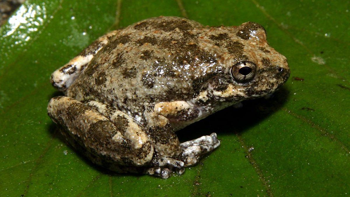 Gerçek İsmi Çok Farklıymış: Dünyanın En Popüler Şehri Los Angeles Hakkında 12 İlginç Bilgi