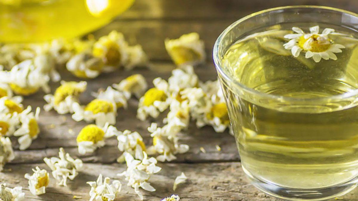 Antik Mısır’dan Bu Yana Pek Çok Medeniyetin ’Şifa Kaynağı’ Olarak Adlandırdığı Papatya Çayının Bilime Göre 10 Faydası