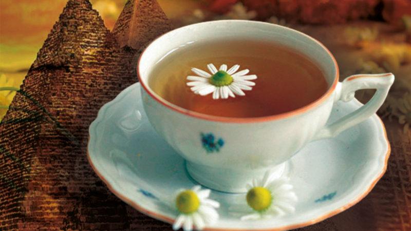 Antik Mısır’dan Bu Yana Pek Çok Medeniyetin ’Şifa Kaynağı’ Olarak Adlandırdığı Papatya Çayının Bilime Göre 10 Faydası