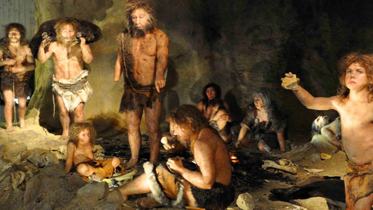 Bir Mağarada, Ayinlerde Kullanılmış Olduğu Düşünülen 40 Bin Yıllık Hayvan Kafatasları Bulundu: Özenle Kesilip İşlenmişler